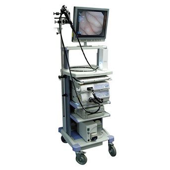 Endoscopy Display System